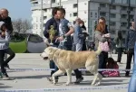 Slika 4